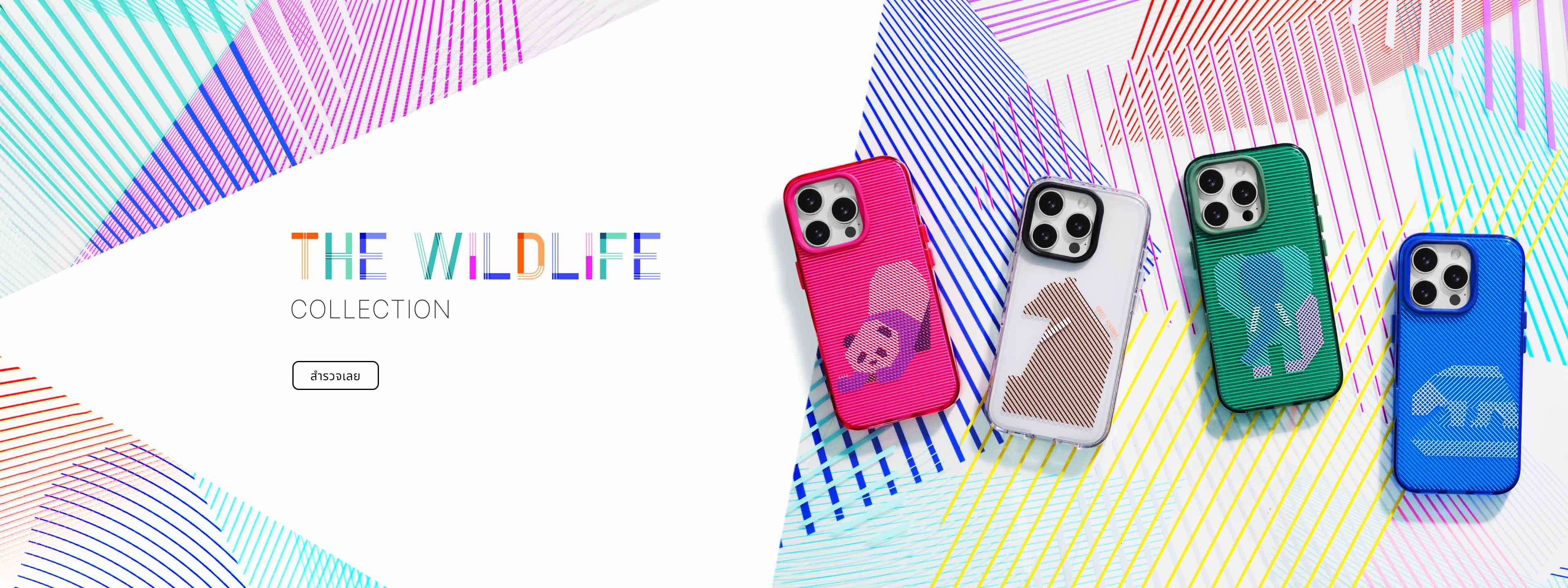 the wildlife collection