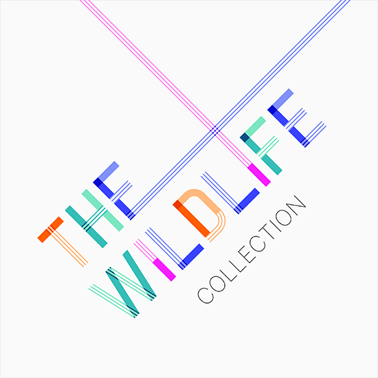 The Wildlife Collection