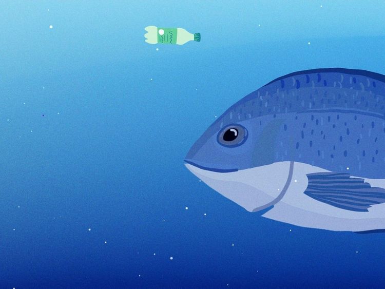 fish4x3 (1).jpg