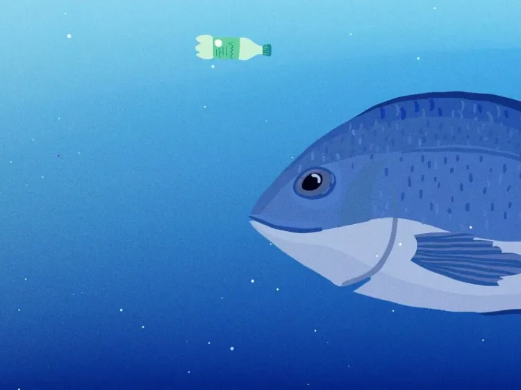 fish4x3 (1).webp